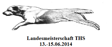 THS Landesmeisterschaft 2014