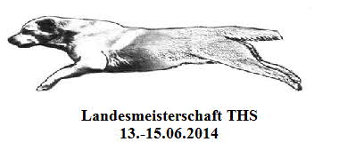 THS Landesmeisterschaft 2014