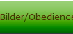 Bilder/Obedience