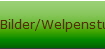 Bilder/Welpenstunde