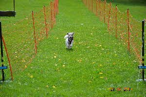 Picknick Vdh Hettenrodt 2011 102
