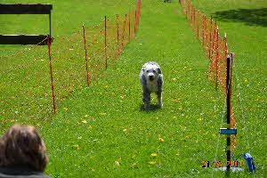 Picknick Vdh Hettenrodt 2011 125