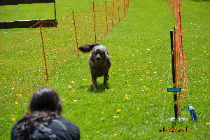 Picknick Vdh Hettenrodt 2011 127