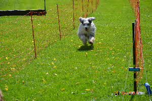 Picknick Vdh Hettenrodt 2011 150