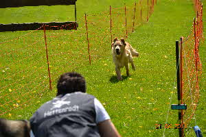 Picknick Vdh Hettenrodt 2011 176