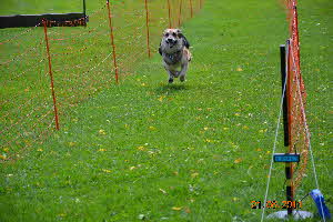 Picknick Vdh Hettenrodt 2011 186