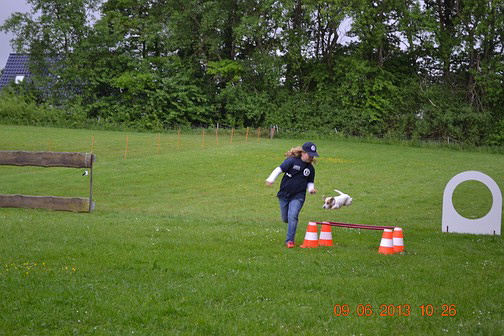 Tag des Hundes Leonie & Lotta